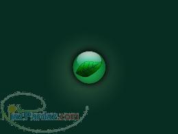 سنگ شکنی ودفع سنگ کلیه در5روز با داروی کاملا گیاهی