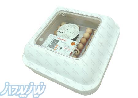 تولید کننده ماشین جوجه کشی