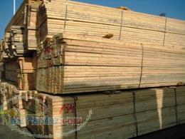 فروش چوب روسی-تخته چوب روسی-یولکا-ساسنا-