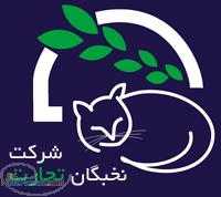 طراحی سایت و مالتی مدیا فقط مخصوص کارخانجات و