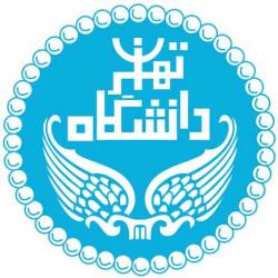 تدریس خصوصی زبان انگلیسی تضمینی  - تهران