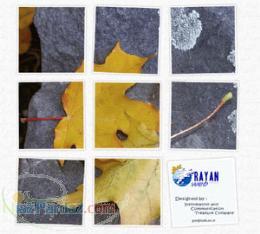 طراحی وبسایت ویژه موسسات فرهنگی