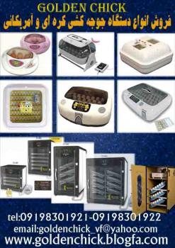 فروش دستگاه جوجه کشی کره ای و امریکائی  - تهران