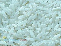 فروش برنج