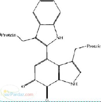 آمونیاک محلول آمونیاک نشادر نیترات سدیم آمونیم