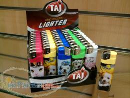 پخش زنوز اپل