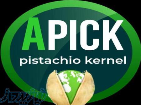 خرید فروش انواع مغز پسته کارگاهی