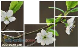 فروشگاه اینترنتی تابلوهای چند تکه ایران تابلو