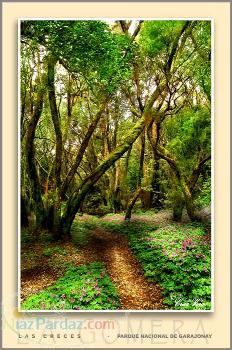 خانه اجاره ای