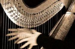 ادوات موسیقی  - تهران