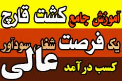 یک شغل مستقل در منزل  کشت قارچ خوراکی  - تهران