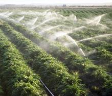 3 قطعه زمین واقع در اردبیل  - اردبيل