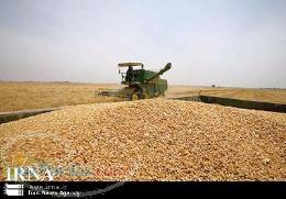 فروش زمین ورامین با موقیعیت عالی زیر قیمت