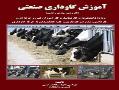 اموزش گاوداری صنعتی  - قم