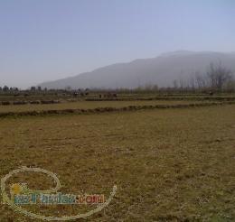 فروش زمین در عباس آباد تنکابن