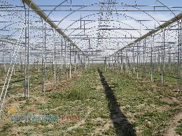 ساخت گلخانه