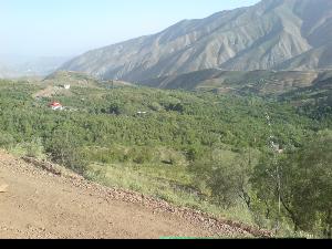 فروش زمین ، باغ و باغچه در راحت آباد لواسان