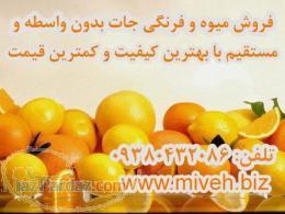 فروش میوه و فرنگی جات بدون واسطه