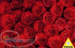 فروشگاه اینترنتی پازل