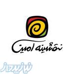 چاپ ديجيتال نقشينه امين