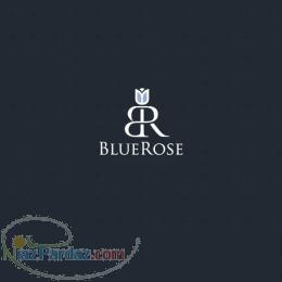 آژانس مسافرتی رز آبی