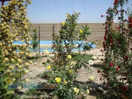 8700 متر زمین با دیوار دورونما واقع در شمال