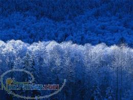 تولید و عرضه تخصصی نوار تیپ وبل و آذین کشتزاران و بن دریپbendrip