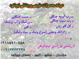 عرضه محصولات طبيعي نيچكوه