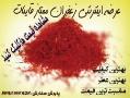 فروش زعفران ممتاز قاینات 100 طبیعی