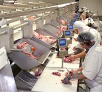 خط کامل قطعه بندی و بسته بندی گوشت  - اصفهان