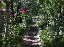 منطقه ویلایی ایینه ورزان دماوند  - تهران