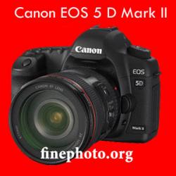دوربین عکاسی حرفه ای کانن eos 5d mark i  - تهران