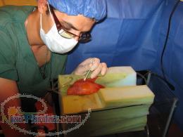 درمانگاه دامپزشکی آبتین