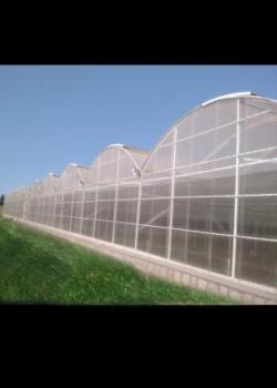 گلخانه طرح اسپانیائی ast  - تهران