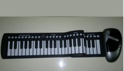 تنها ارگ ژله ای موجود در جهان  - كرمانشاه