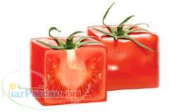 صنایع قوطی اصفهان