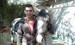 اسب دوخون عرب