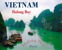 ویتنام      تایوان      چین      هند  - تهران