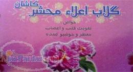 درامد از عرقيات محشركاشان باسود ماهانه دو میلیون