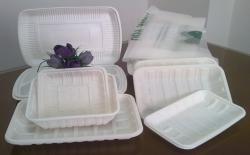 خط تولید ظروف یکبارمصرف نشاسته ای تجزیه  - تهران