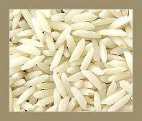 عرضه برنج طارم محلی عطری فریدونکنار