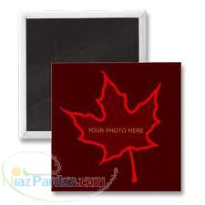 مدرس دانشگاه در رشته هاي فني ومهندسي