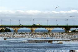 زمین از ما ساخت مجتمع تجاری از شما  - تهران