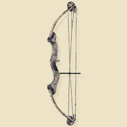 نیراندازی با کمان   تیر و کمان  - تهران