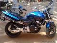 honda hornet 250  - اصفهان