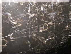 فروش سنگ مرمریت مشکی فسیل دار  - اصفهان