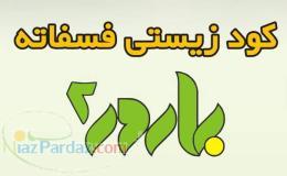 کود زیستی فسفاته بارور-2