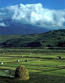 پیش فروش در خوش اب و هوا ترین نقطه شمال  - تهران