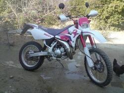 فروش dt 200wr برگ سبز