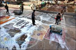 قالیشویی تاژ